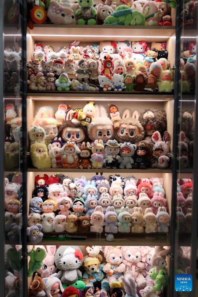 Trendy and collectible toys are seen at a local resident's home in Shanghai, east China, April 26, 2026. In China, trendy and collectible toys have evolved from a niche hobby into a cultural phenomenon, appearing in a wide range of daily scenarios. These toys not only provide an outlet for personal expression and a means of social connection, but also bear witness to a trend in consumption that emphasizes the pursuit of individuality. (Photo: Xinhua)