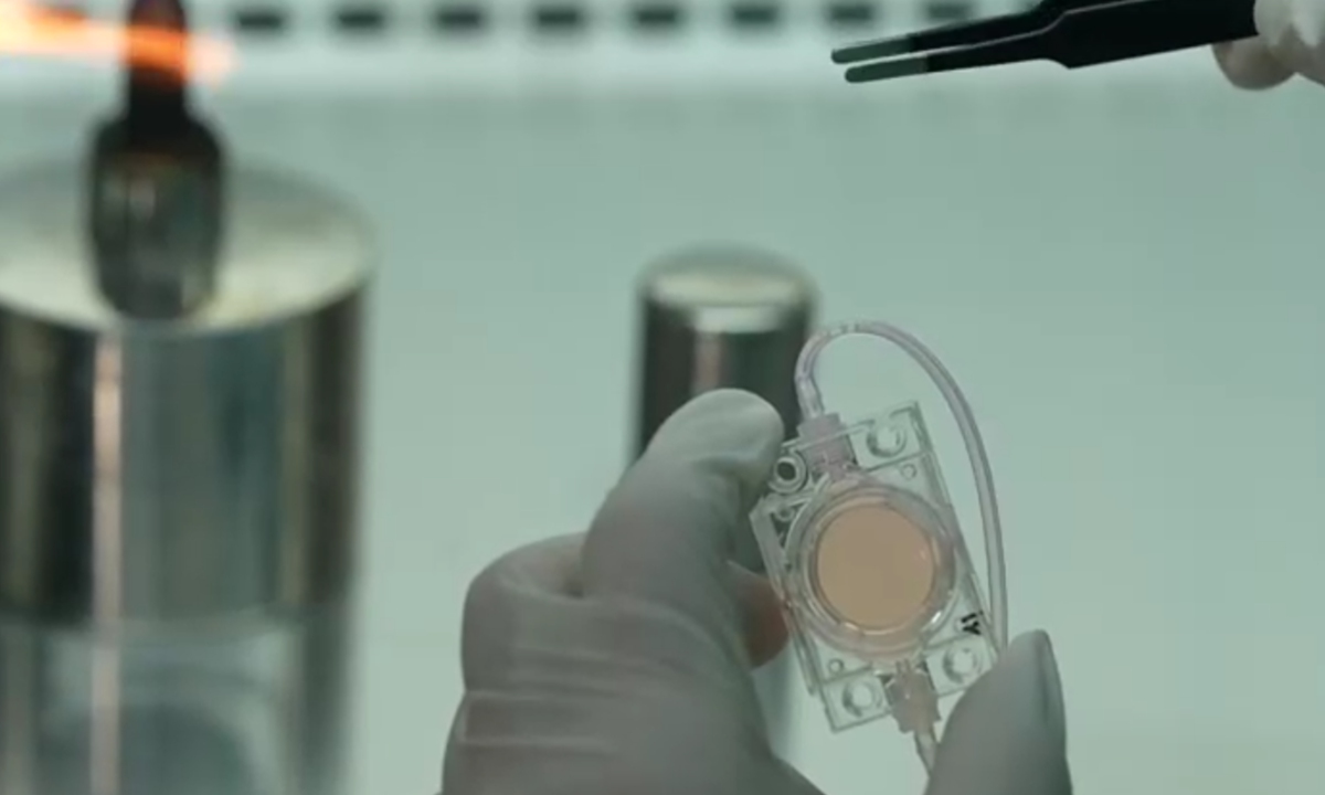 China launches world's first space 'artificial embryo' experiment via Tianzhou-10 mission