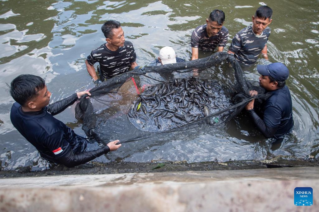 People capture suckermouth catfish during an operation targeting invasive species in a river in Jakarta, Indonesia, May 5, 2026. (Photo: Xinhua)