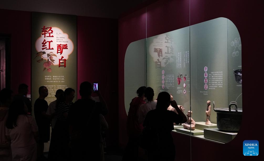 Visitors view exhibits during a Litchi-themed cultural exhibition in Haikou, south China's Hainan Province, May 5, 2026. (Photo: Xinhua)