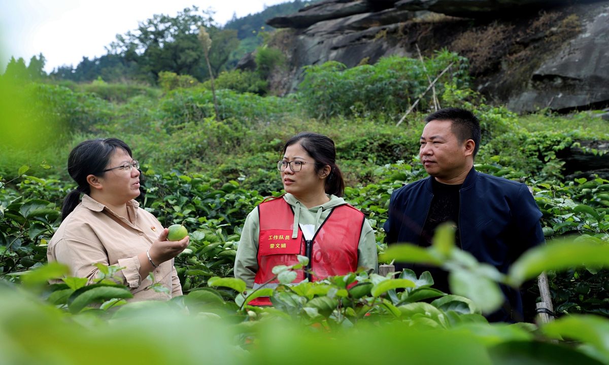 Yang Ning (first from left) leads staff members to discuss new development paths with villagers in the fields.  File photo: Qin Mei/People's Daily