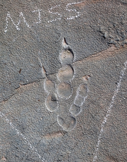 Well-preserved theropod tracks found in Xuanhua, North China's Hebei Province Photo: Courtesy of Xing Lida