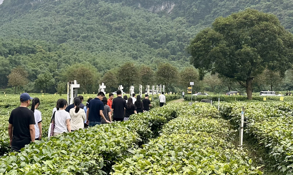'Friends of Global Civilization' explores China's rural model for Global South