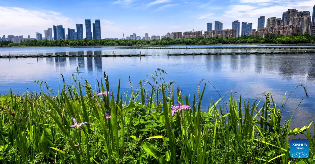 This photo taken with a mobile phone on May 1, 2026 shows a view of the East Lake scenic area in Wuhan, central China's Hubei Province. (Xinhua/Shen Hongbing)