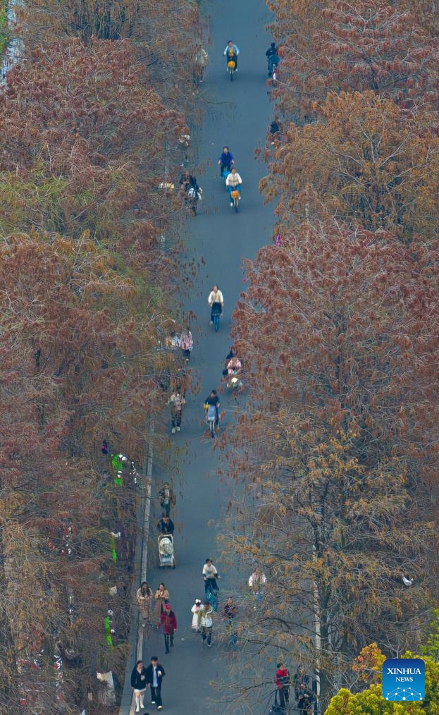 An aerial drone photo taken on March 22, 2026 shows tourists along a greenway in the East Lake scenic area in Wuhan, central China's Hubei Province. (Xinhua/Xiao Yijiu)
