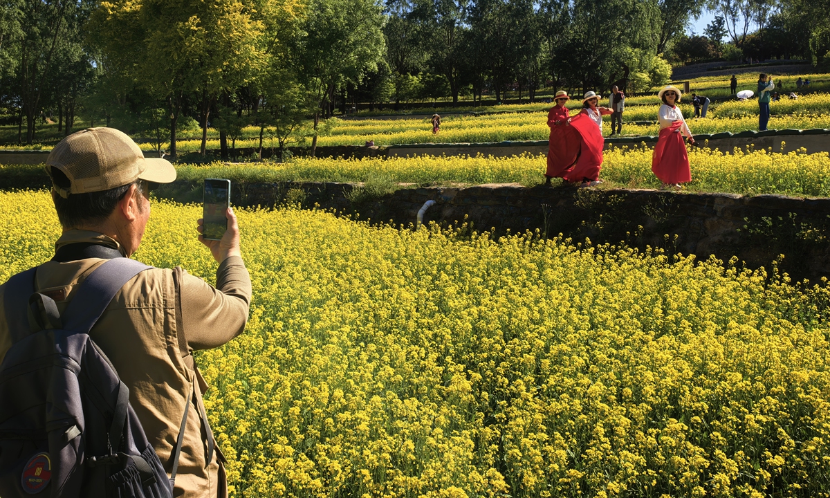 Tourists take photos in the rapeseed flower field at Zhongwu Park in Beijing on May 4, 2026. During the May Day holiday, scenic spots across the country welcomed large numbers of visitors. Photo: Liu Yang/GT