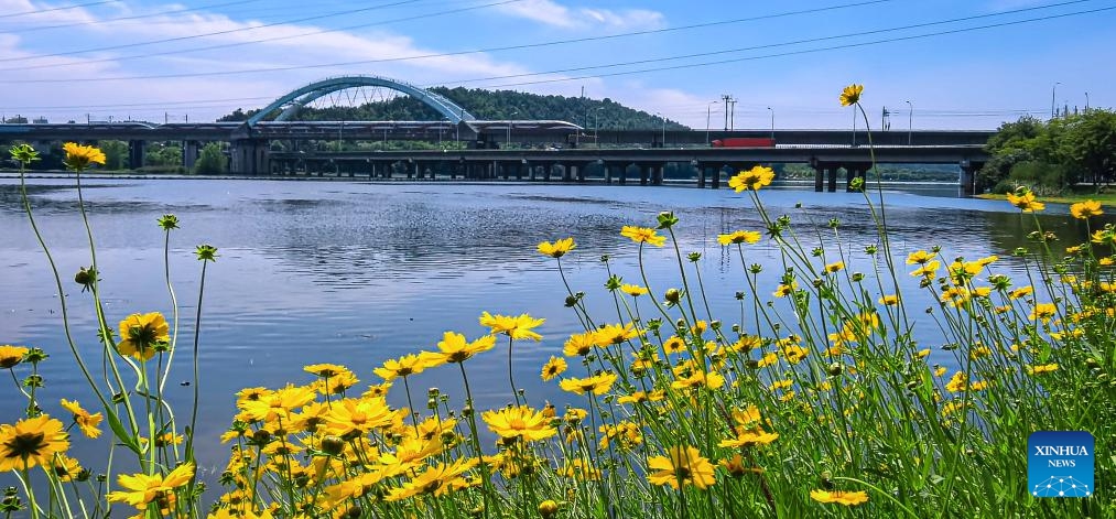 This photo taken with a mobile phone on May 4, 2026 shows a high-speed train crossing over the East Lake in Wuhan, central China's Hubei Province. (Xinhua/Shen Hongbing)