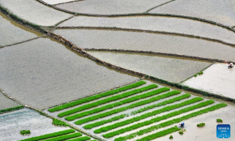 An aerial drone photo taken on May 6, 2026 shows farmers working in a field of Yuntou Village in Pingba District of Anshun City, southwest China's Guizhou Province. Chinese farmers across the country are busy with field works in early summer (Photo by Yuan Fuhong/Xinhua)