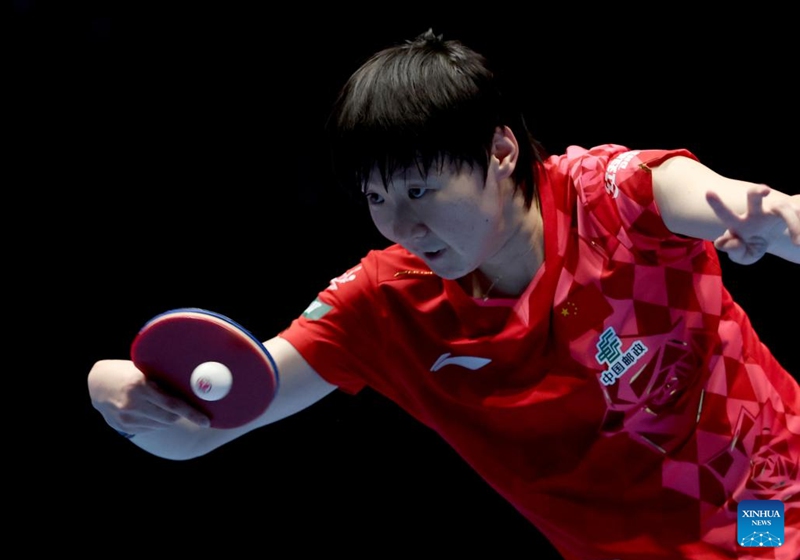 Wang Manyu of China hits a return in the singles match against Bernadette Szocs of Romania during the women's teams semifinal match between China and Romania at the ITTF World Team Table Tennis Championships Finals in London, Britain, on May 9, 2026. (Xinhua/Li Ying)