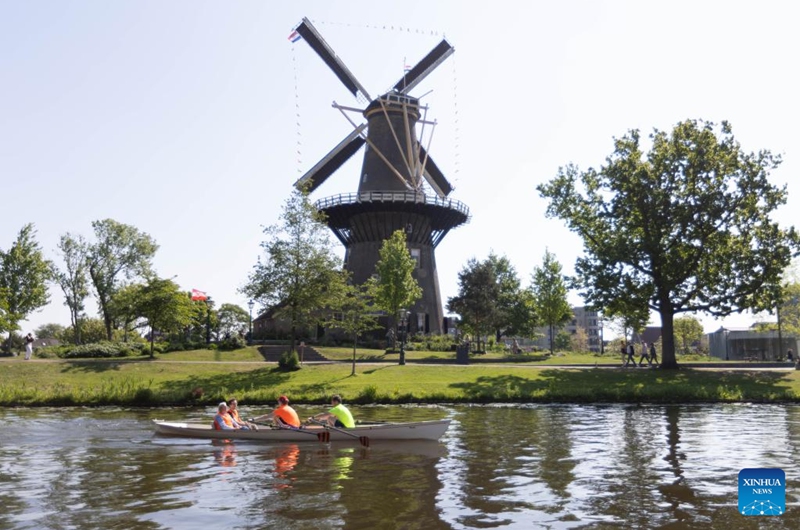 This photo taken on May 9, 2026 shows the De Valk windmill in Leiden, the Netherlands. Dutch National Mill Day is celebrated annually on the second weekend of May, when windmills and watermills across the Netherlands open to the public. Visitors can enjoy guided tours, live demonstrations, and spinning sails, celebrating the country's rich milling heritage. (Photo by Sylvia Lederer/Xinhua)