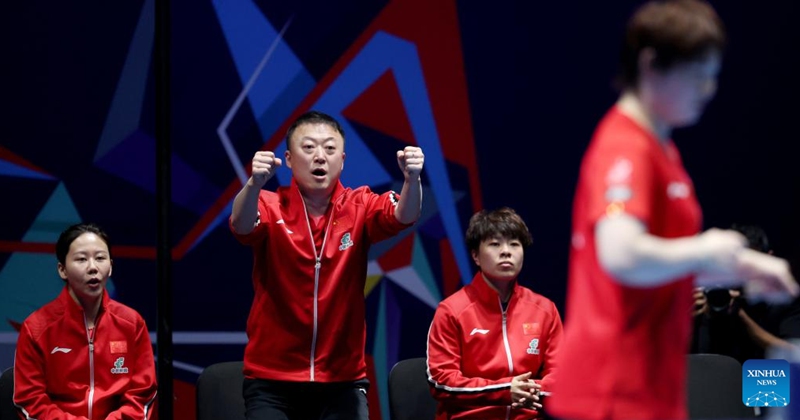 Team China cheer for Kuai Man of China as she competes in the singles match against Andreea Dragoman of Romania during the women's teams semifinal match between China and Romania at the ITTF World Team Table Tennis Championships Finals in London, Britain, on May 9, 2026. (Xinhua/Li Ying)