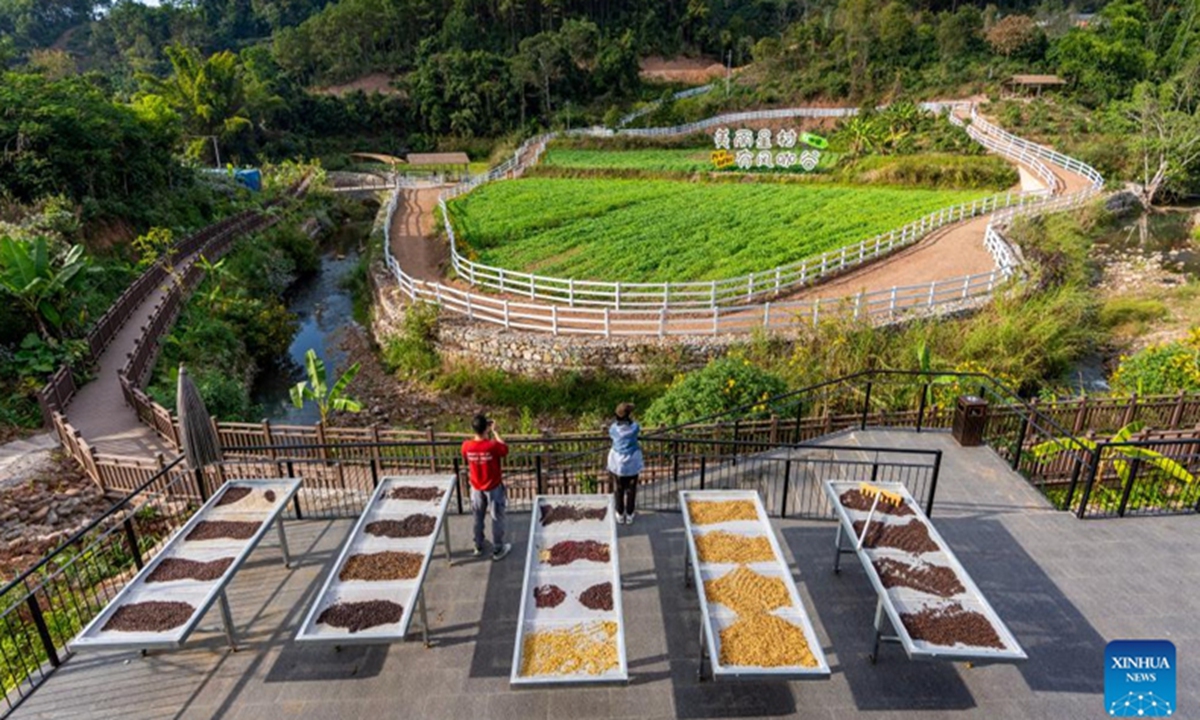 Tourists take photos at a coffee experience center in Pu'er, southwest China's Yunnan Province, Jan. 8, 2025. Photo: Xinhua