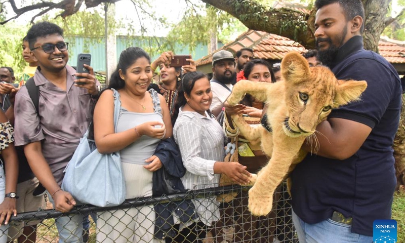 Tourists interact with a lion cub at Dehiwala Zoological Gardens in Dehiwala-Mount Lavinia, Sri Lanka, May 10, 2026. The cubs, born on Dec. 24, 2025, were presented to the public at the zoo on Sunday. (Photo by Gayan Sameera/Xinhua)