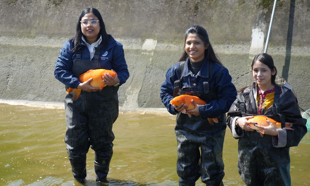 Three South Asian researchers work at the base of an experimental station for aquatic animal germplasm resources of Shanghai Ocean University on April 24, 2026. Photo: Lu Ting/GT