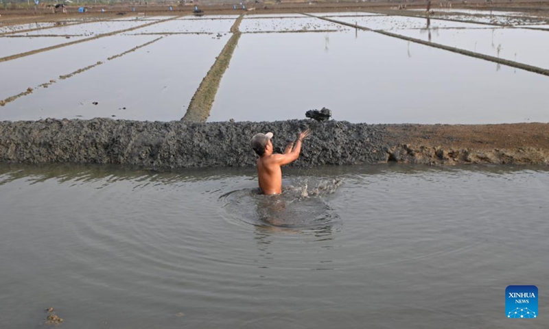 A man raises the embankment of a salt pan at Rawaurip village, Cirebon Regency, West Java province, Indonesia, on May 12, 2026. (Xinhua/Veri Sanovri)

