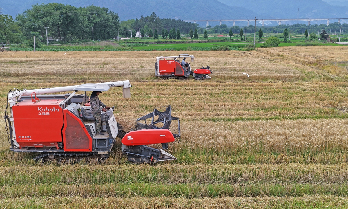 A farm machine operator harvests wheat with a combine harvester in a village in Tianshi, Taizhou, East China's Zhejiang Province, on May 13, 2026. Photo: IC