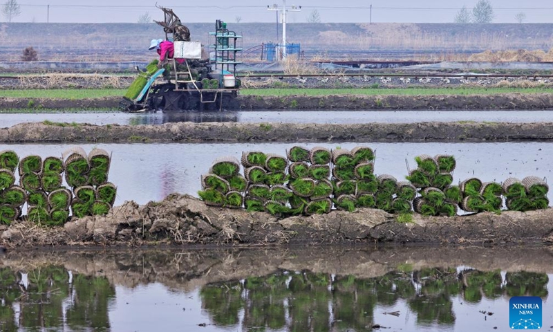 Farmers transplant rice seedlings at a field in Tongjiang City of northeast China's Heilongjiang Province, May 12, 2026. Recently, Heilongjiang Province has entered the golden season for rice transplanting. (Photo by Liu Wanping/Xinhua)

