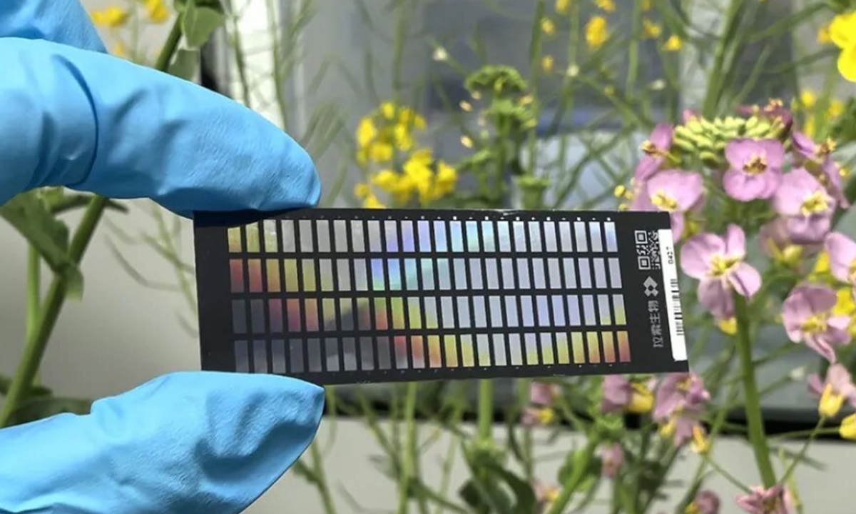 Photo: Science and Technology Daily
