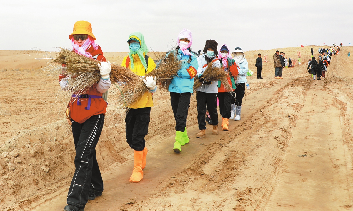Volunteers walk in a line across the desert in Minqin County, carrying bundles of saplings for a reforestation project. Photo: Courtesy of publicity department of Minqin County