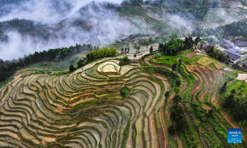An aerial drone photo taken on May 13, 2026 shows Ziquejie terraces in Xinhua County, central China's Hunan Province. (Photo by Zhou Xiuyuchun/Xinhua)

