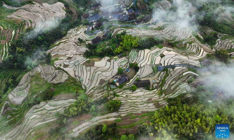 An aerial drone photo taken on May 13, 2026 shows Ziquejie terraces in Xinhua County, central China's Hunan Province. (Photo by Zhou Xiuyuchun/Xinhua)

