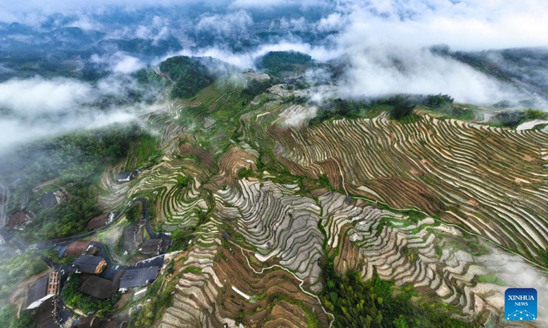 An aerial drone photo taken on May 13, 2026 shows Ziquejie terraces in Xinhua County, central China's Hunan Province. (Photo by Zhou Xiuyuchun/Xinhua)

