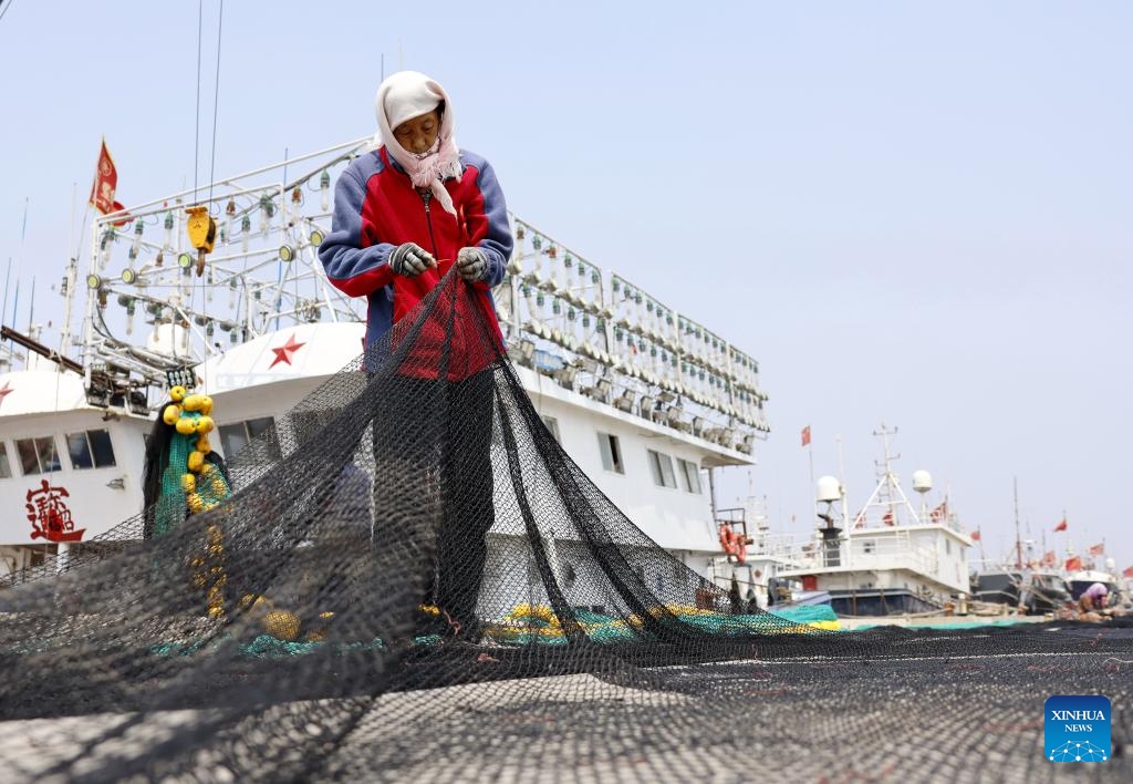 A fisher mends a fishing net during the summer fishing moratorium at a fish pier in Heiyanzi Town of Fengnan District, Tangshan, north China's Hebei Province, May 15, 2026. (Photo: Xinhua)