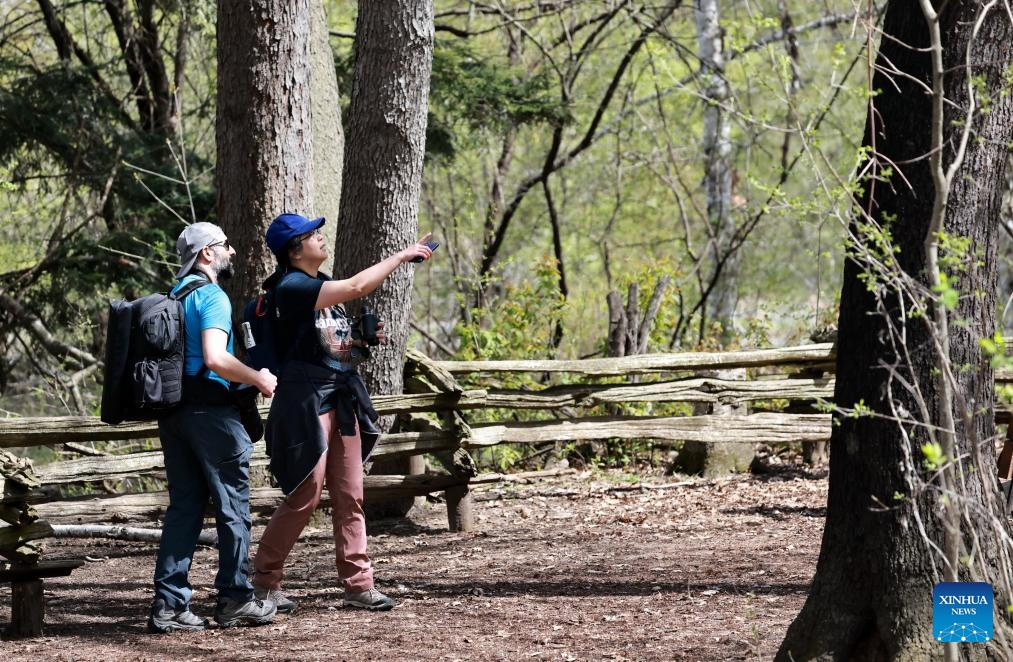 Tourists visit the Lynde Shores Conservation Area in Whitby, Ontario, Canada, May 15, 2026. The Lynde Shores Conservation Area attracts many visitors for birdwatching and photography. (Photo: Xinhua)