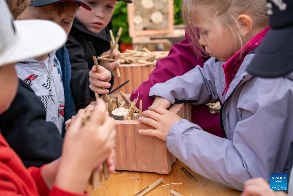 Children build an insect hotel during an Earth Day-themed event in Prague, the Czech Republic, May 14, 2026. The event was held in Prague on Thursday, featuring educational games, workshops, and presentations. (Photo: Xinhua)