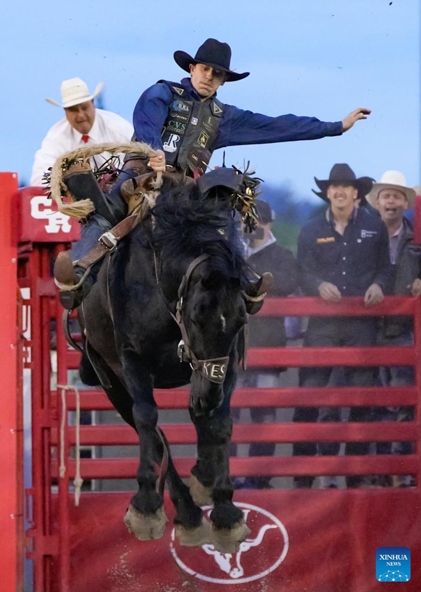 A rider competes in the saddle bronc riding competition at the Cloverdale Rodeo 2026 in Surrey, British Columbia, Canada, on May 15, 2026. As one of the largest rodeos in Canada, the annual Cloverdale Rodeo and Country Fair kicked off here on Friday. (Photo by Liang Sen/Xinhua)