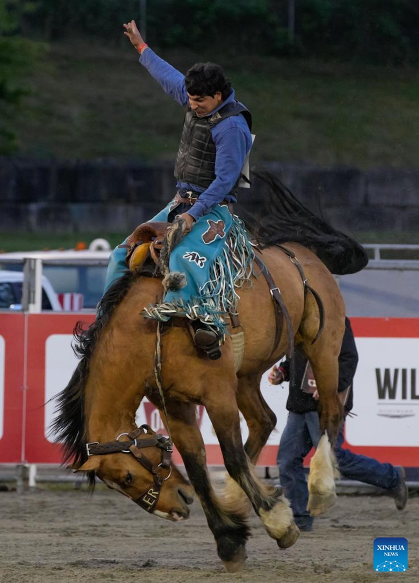 A rider competes in the saddle bronc riding competition at the Cloverdale Rodeo 2026 in Surrey, British Columbia, Canada, on May 15, 2026. As one of the largest rodeos in Canada, the annual Cloverdale Rodeo and Country Fair kicked off here on Friday. (Photo by Liang Sen/Xinhua)