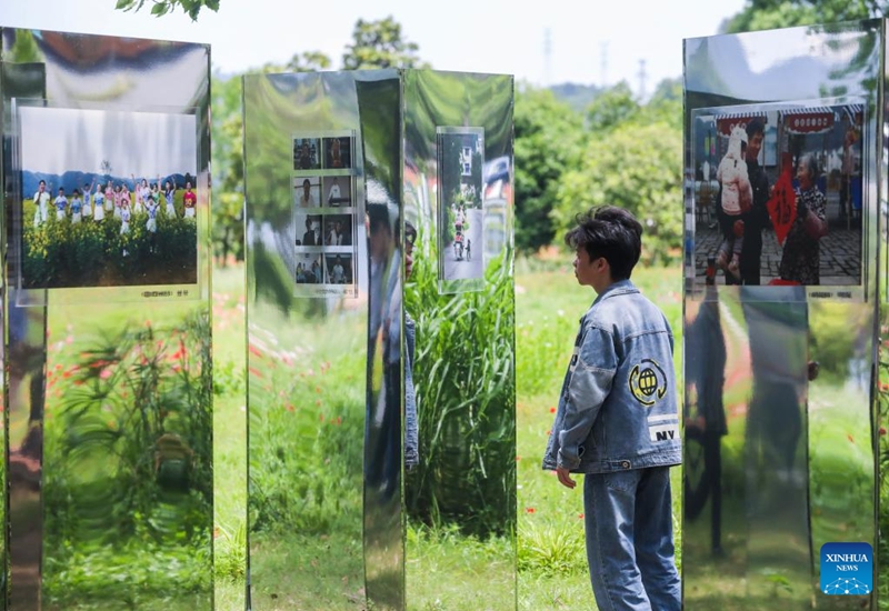 A man views an open air art exhibition in Zhijiang Village of Xiaya Town, Jiande City of east China's Zhejiang Province, May 16, 2026. A photography + oil painting dual art exhibition was unveiled in Zhijiang Village of Xiaya Town on Saturday. Breaking the conventional boundaries of traditional art galleries, the exhibition is set amid fields, forests, and village paths. A total of 90 photography and oil painting works showcased the local rural customs and landscapes, with the majority of the artists being local villagers. Photo: Xinhua