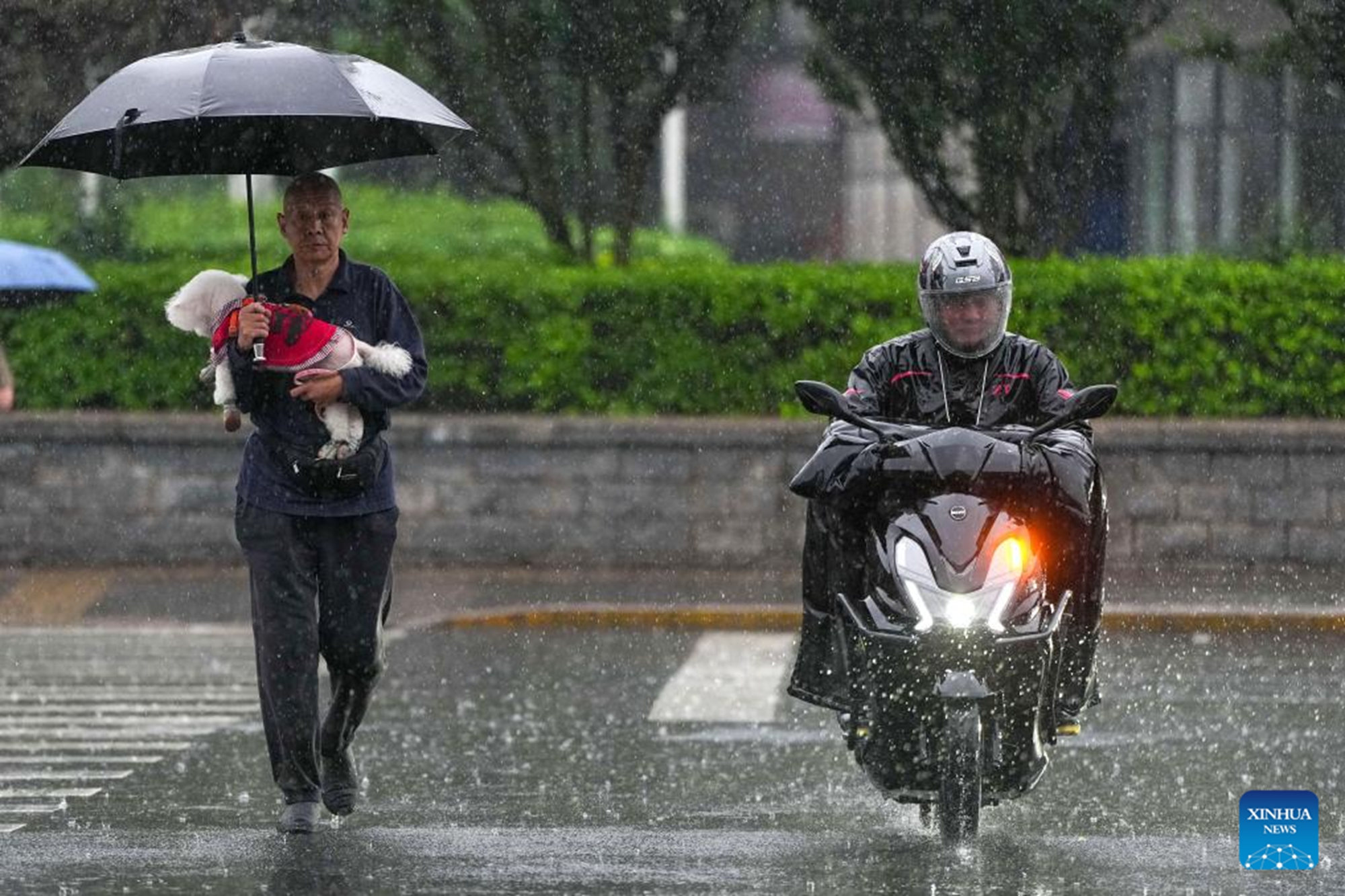 People travel in the rain in Beijing, capital of China, May 17, 2026. (Xinhua/Ju Huanzong)