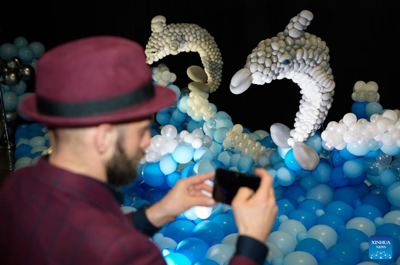 A visitor takes photos of dolphin-themed balloon installations during the World Balloon Festival in Warsaw, Poland, May 15, 2026. The festival takes place here from May 15 to 17, featuring large themed installations featuring tropical jungles, underwater world, outer space and architectural landmarks created with more than 100,000 biodegradable balloons. (Photo by Jaap Arriens/Xinhua)