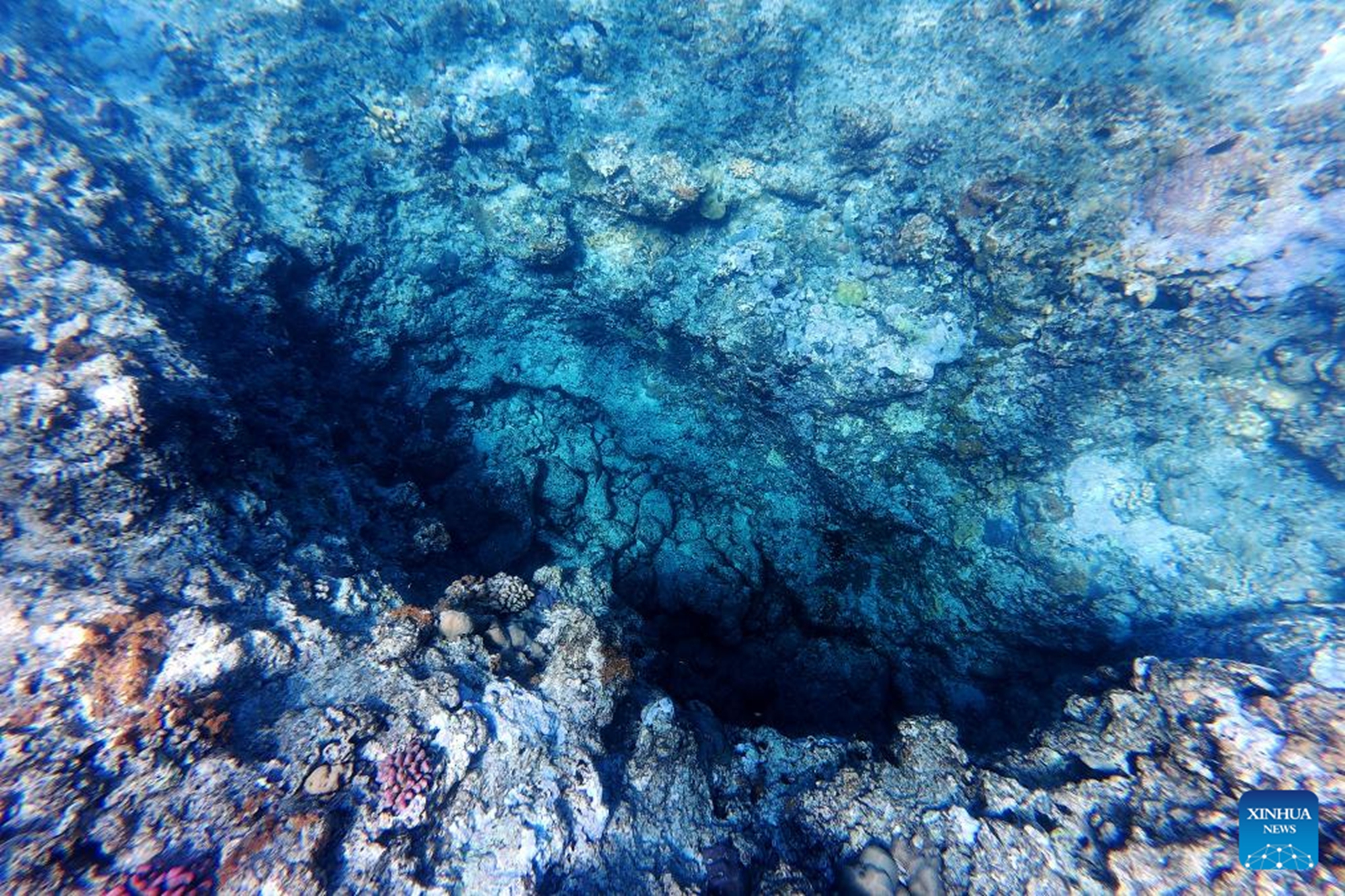 This photo taken on May 3, 2026 shows underwater scenery in the territorial waters of China's Huangyan Dao in the South China Sea. (Xinhua/Chen Bin)
