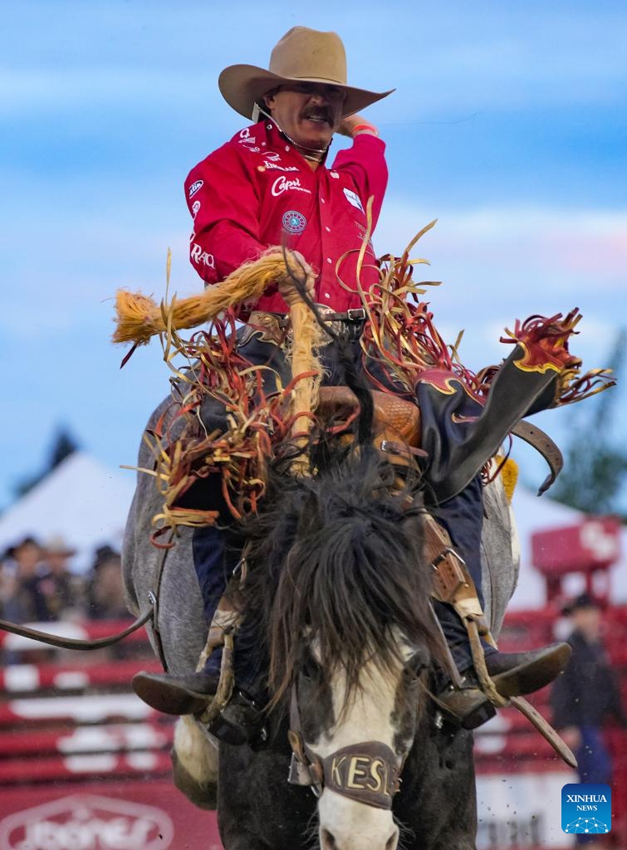 A rider competes in the saddle bronc riding competition at the Cloverdale Rodeo 2026 in Surrey, British Columbia, Canada, on May 15, 2026. As one of the largest rodeos in Canada, the annual Cloverdale Rodeo and Country Fair kicked off here on Friday. (Photo by Liang Sen/Xinhua)