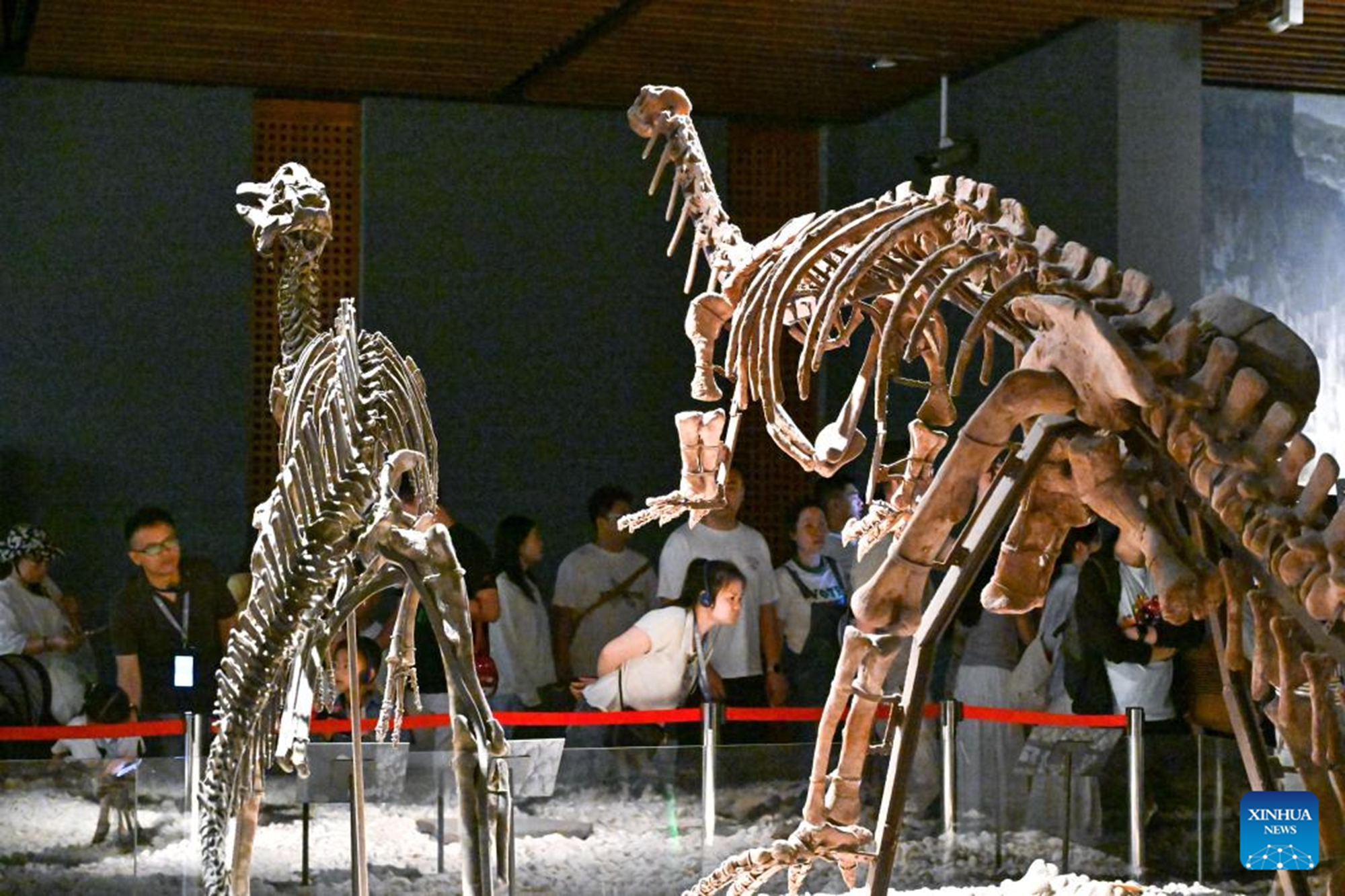 People visit the Nanjing Museum in Nanjing, east China's Jiangsu Province, May 17, 2026. Museums across China receive large numbers of visitors with the upcoming International Museum Day, which will fall on May 18. (Photo by Yang Suping/Xinhua)