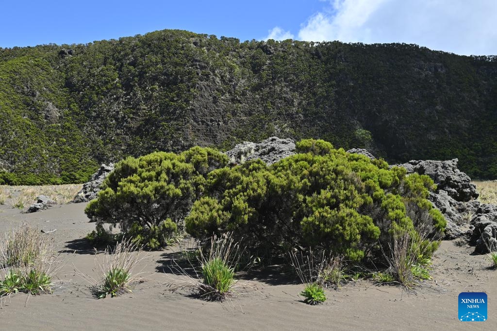 This photo taken on May 17, 2026 shows a view of Mount Karthala in the Comoros. Mount Karthala is the highest mountain and one of the most famous natural landscapes in the Comoros. Located on the Grande Comore island, it ranks among the world's most active volcanoes. (Photo: Xinhua)