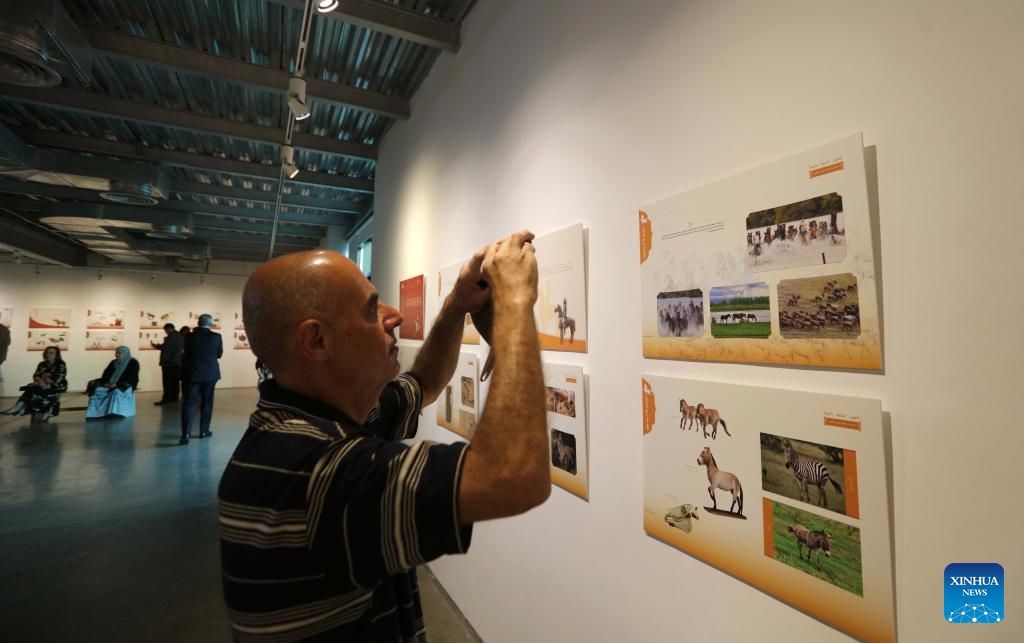 A visitor takes pictures at a Chinese zodiac culture exhibition in Amman, Jordan, on May 17, 2026. An exhibition showcasing Chinese zodiac culture and the symbolism of the horse in Chinese civilization opened on Sunday at the Jordan National Gallery of Fine Arts in Amman. The exhibition, titled Horses Herald the Spring -- The Global Exhibition of Chinese Zodiac Culture Celebrating the Year of the Bingwu Horse, will run through June 10. (Photo: Xinhua)