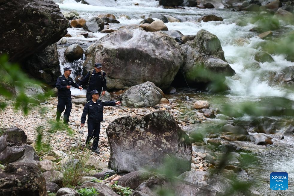 Luo Xianhua (front) and his colleagues patrol the Wuyishan National Park in southeast China's Fujian Province, on May 8, 2026. Tea farmer Luo Xianhua from Tongmu, a village nestled deep within the Wuyishan National Park, also serves as a forest ranger for at least 15 days every month. (Photo: Xinhua)