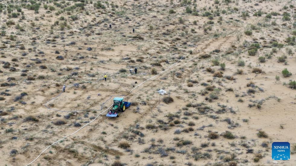 An aerial drone photo shows workers working on sand control in Ulan Buh Desert in Dengkou County of Bayannur, north China's Inner Mongolia Autonomous Region, May 19, 2026. Workers here are busy with the planting and irrigation of saxaul plants as part of the sand control efforts. (Photo: Xinhua)