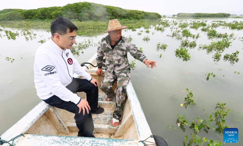 Liu Xinmin (R) and a staff member of the city's natural resources bureau check the growth of newly-planted mangrove on the Luoyang River in Quanzhou City, southeast China's Fujian Province, May 15, 2026. At the estuary of the Luoyang River in Quanzhou, extensive lush mangrove forests thrive alongside the Luoyang Bridge, a national key cultural heritage site. Amid the mangroves, 76-year-old Liu Xinmin patrols the waters daily by small boat. (Photo: Xinhua)