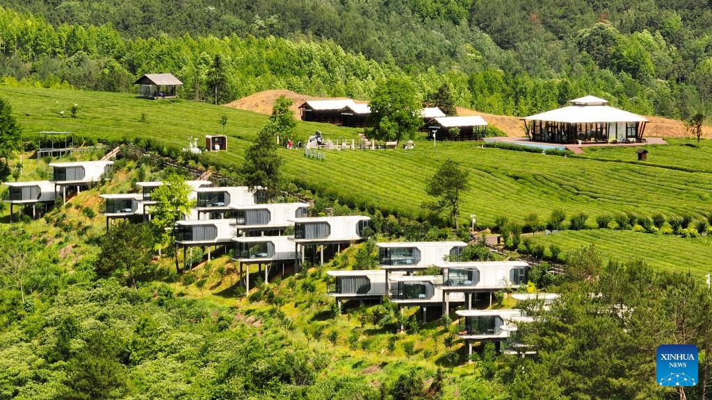 A drone photo taken on May 16, 2026 shows modern-style guesthouses in Luxi Village of Jingde County, Xuancheng City, east China's Anhui Province. In recent years, Luxi Village has been continuously optimizing the management of the tea gardens and exploring the integration of tea cultivation with tourism. Around the tea gardens, supporting facilities such as walking trails and tea rooms have been constructed while other cultural and tourism products are still being enriched. (Photo: Xinhua)