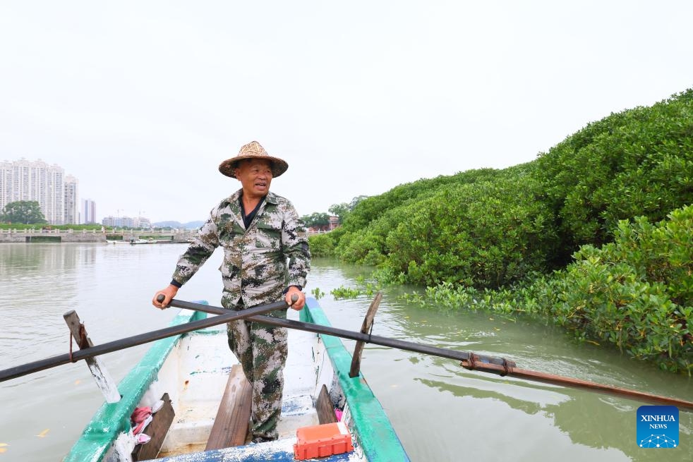 Liu Xinmin patrols on the Luoyang River in Quanzhou City, southeast China's Fujian Province, May 15, 2026. (Photo: Xinhua)