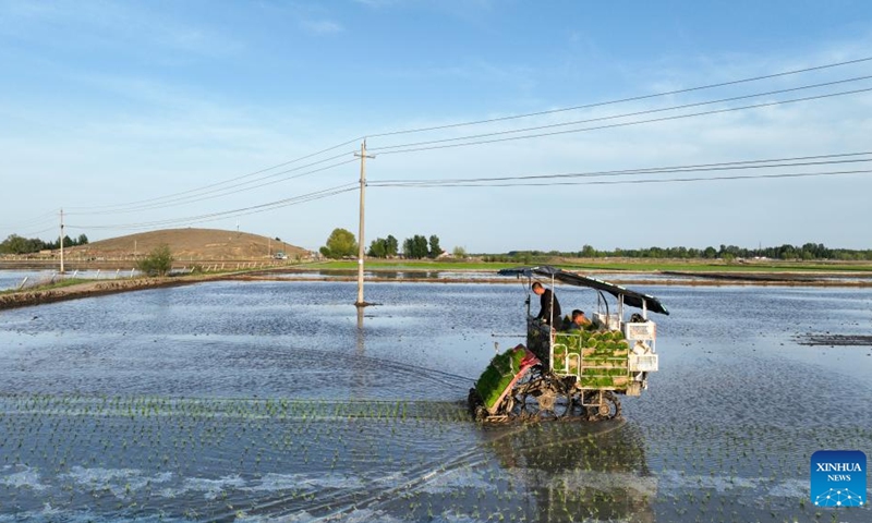 A drone photo taken on May 19, 2026 shows farmers transplanting rice seedlings with a machine at a field in Ongniud Banner, Chifeng City of north China's Inner Mongolia Autonomous Region. Ongniud Banner has ushered in transplanting season for rice seedlings. (Photo: Xinhua)