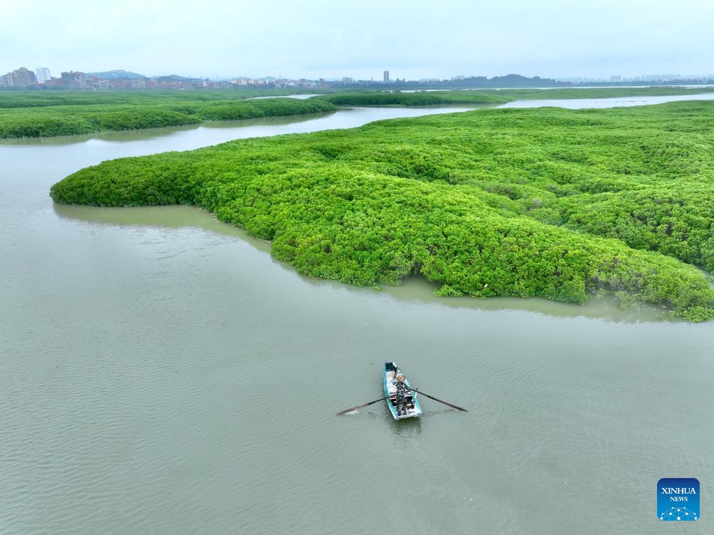 An aerial drone photo shows Liu Xinmin patrolling on the Luoyang River in Quanzhou City, southeast China's Fujian Province, May 15, 2026. (Photo: Xinhua)