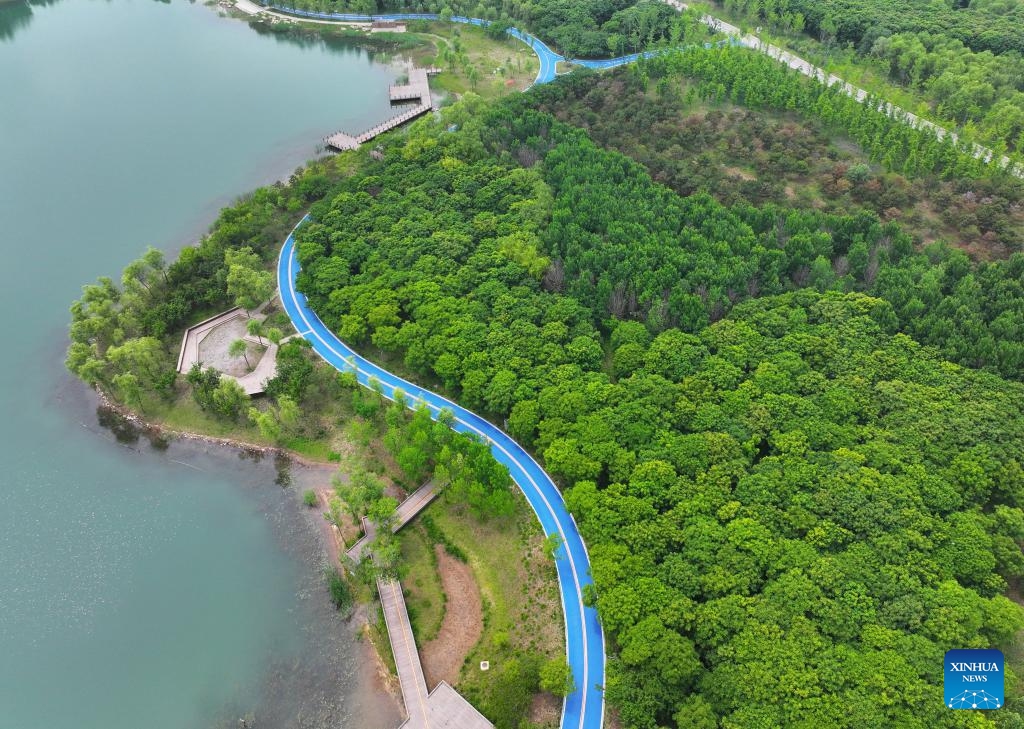 An aerial drone photo taken on May 19, 2026 shows a forest in Xiong'an New Area, north China's Hebei Province. Since Xiong'an New Area started an afforestation project in 2017, an area of 483,000 mu (32,200 hectares) has been newly planted, with the total green area reaching 743,000 mu (about 49,533.33 hectares) and forest coverage increasing from 11 to 35.1 percent. (Photo: Xinhua)