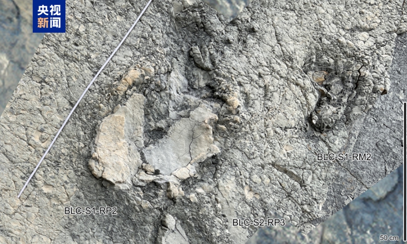 The sauropod dinosaur footprint fossil discovered in the Beilianchi site in the Liupan Mountains of Ningxia Hui Autonomous Region. Photo: CCTV News