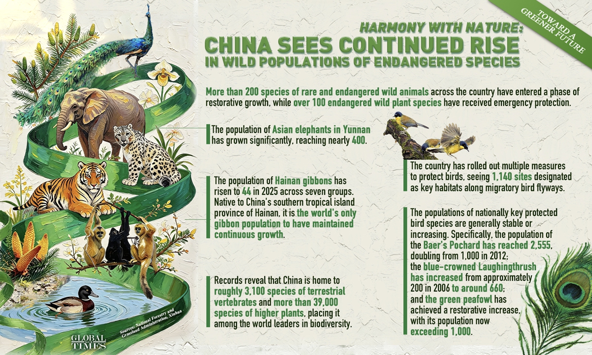 Graphic: Global Times