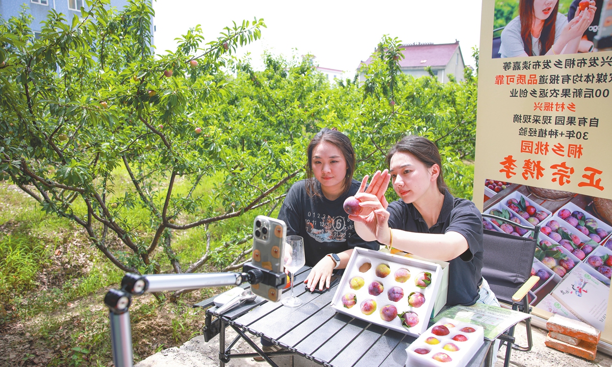 Two young entrepreneurs livestream to sell local plums from the fields of Taoyuan village in Tongxiang, East China's Zhejiang Province on June 19, 2025. Photo: VCG